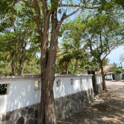 Properties For Sale in San Blas