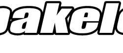 LogoPAKELO_Pantone