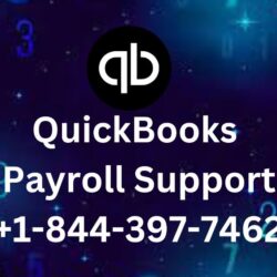 QuickBooks Payroll Support (1)