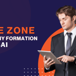 free-zone-company-formation-dubai-663077e7bec20