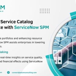 ServiceNow SPM-min (2)