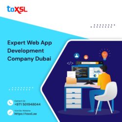 web_app_development_company_in_Dubai