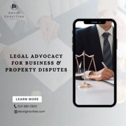 Legal Advocacy for Business & Property Disputes