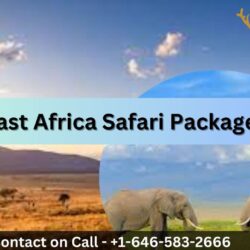 East Africa Safari Packages