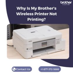 Why Is My Brother's Wireless Printer Not Printing