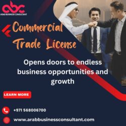 Commercial Trade License In Dubai