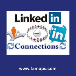 buy Linkedin connections (2)