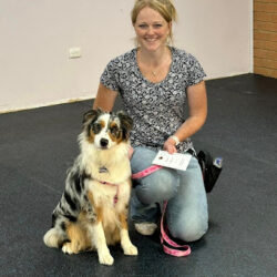 All Round Good Hounds Dog Training Canberra