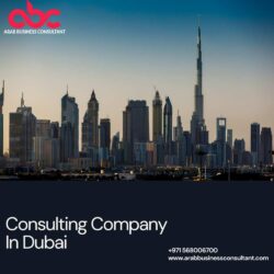 Company Formation in Dubai (4)