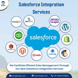 Salesforce-Integration-Services