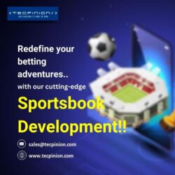 Sportsbook Software Development