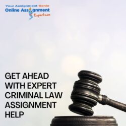 Get Ahead with Expert Criminal Law Assignment Help