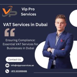 Vat Services in Dubai