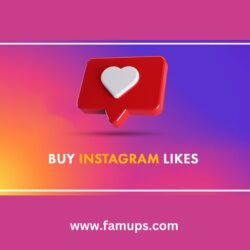 buy Instagram likes (2)
