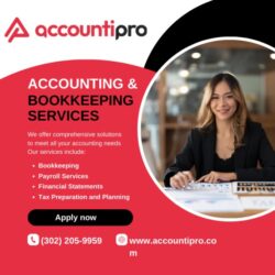 Get The Best Accounting and Bookkeeping Services in USA