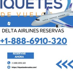 delta airline reservations....