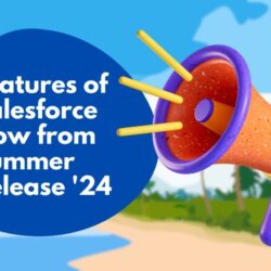 Salesforce Summer Release 2024