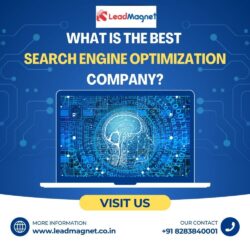 What is the best Search Engine Optimization company