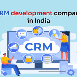 CRM development company in India (1)