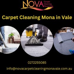 Carpet Cleaning Mona Vale