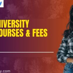 Amity University Online Courses & Fees