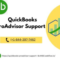 QuickBooks Enterprise Customer Support (4)