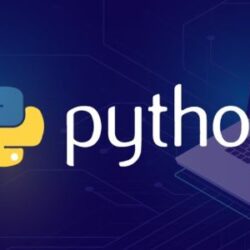 Python Developer (1)
