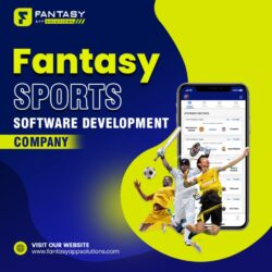 Fantasy Sports Software Development Company