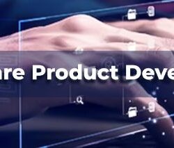 Software product development