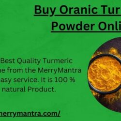 Buy Oranic Turmeric Powder Online