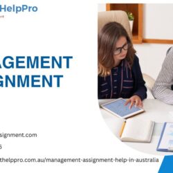management assignment help 2
