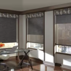 roller shades for windows tampa bay area