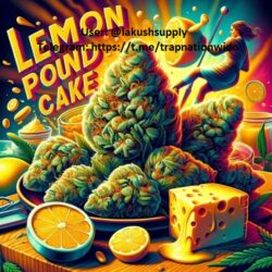 lemon-pound-cake-strain-review
