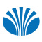 Daewoo Logo 1