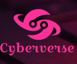 cyberverse logo