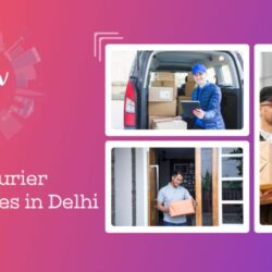 Top 5 Courier companies in Delhi
