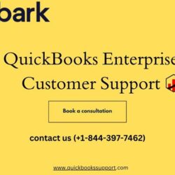 QuickBooks Enterprise Customer Support (1)