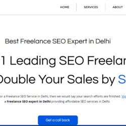Top SEO Freelancer in Delhi