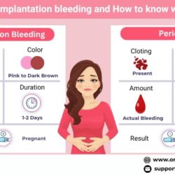 What-is-implantation-period-bleeding