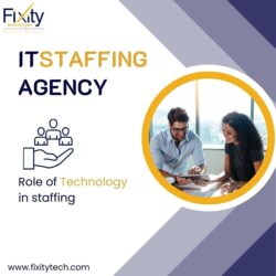 IT staffing agency