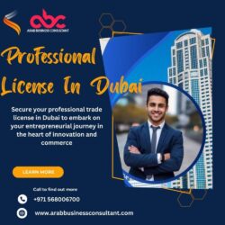 Professional license in Dubai