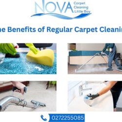 The_Benefits_of_Regular_Carpet cleaning Little Bay