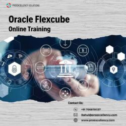 Oracle Flexcube