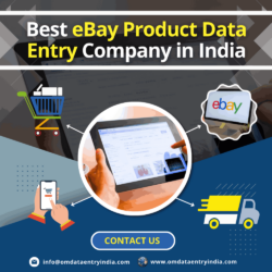 Outsource eBay Product Data Entry Services In India_11zon