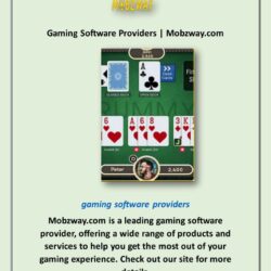 gaming-software-providers-mobzway-com-l