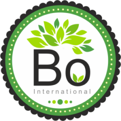 BO International Logo-min