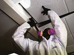 Asbestos Inspection Dallas