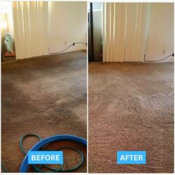 Best carpet cleaning San Jose CA