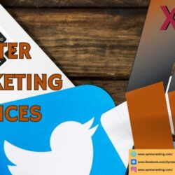 twitter marketing services