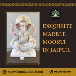 Exquisite Marble Moorti in Jaipur